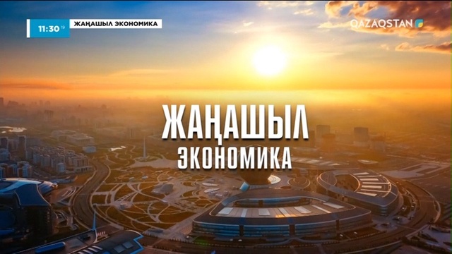 Жаңашыл экономика. Арнайы жоба