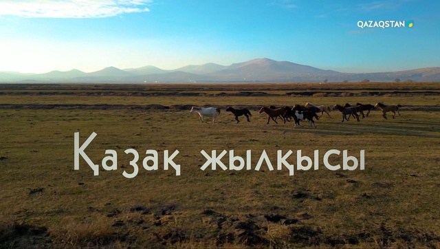 Қазақ жылқысы. Арнайы жоба