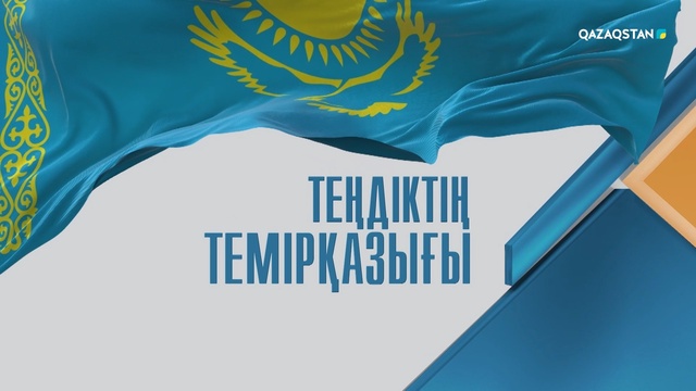 Теңдіктің темірқазығы