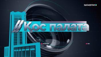 «Қос палата»: Мемлекеттік қызметкерлердің өмірі қаншалықты сақтандырылған?