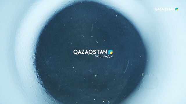 «Биологиялық белсенді қоспалар»