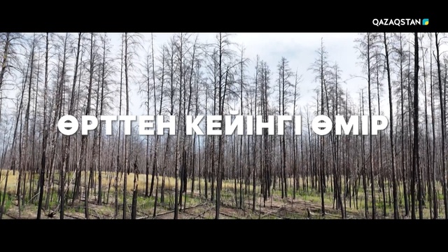 «ӨРТТЕН КЕЙІНГІ ӨМІР». Арнайы жоба