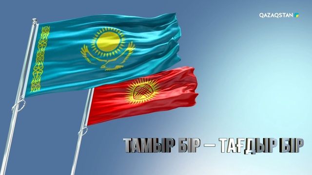 «Тамыр бір - тағдыр бір». Арнайы жоба