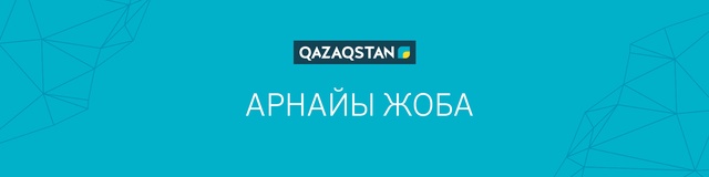 Арнайы жоба