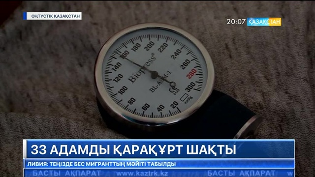 ОҚО-да 33 адамды қарақұрт шақты