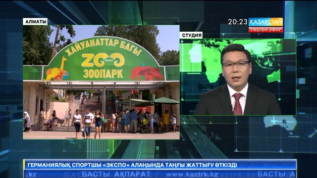Соңғы уақытта Алматының зообағындағы жан-жануарларға қастандық жасаушылар көбейді