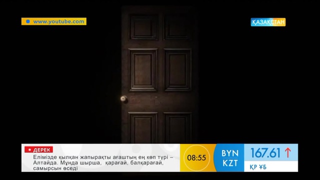 Ұялы телефоныңыз хакердің жемтігіне айналып кетпесін десеңіз...
