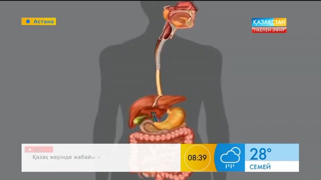 Бүгін – Дүниежүзілік гепатитпен күресу күні