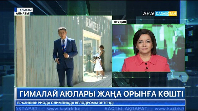 Алматы хайуанаттар бағында аюларға арнап жаңа жай салынды