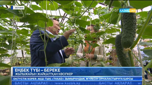 Еңбек түбі - береке.