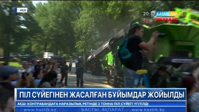 АҚШ-та піл сүйегінен жасалған бұйымдар жойылды