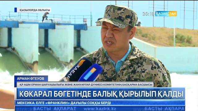 Көкарал бөгетінде балық қырылып қалды