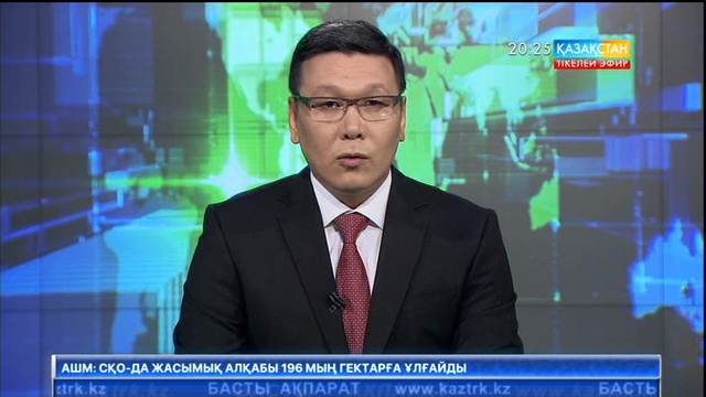 Қызылордада тастан қашалған қобыз табылды