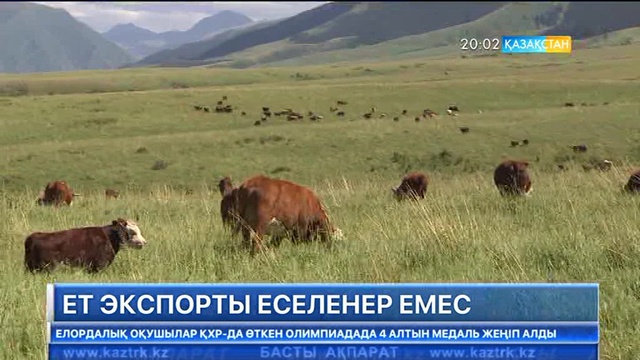 Биылғы 6 айда Қазақстан 5300 тонна ет экспорттаған