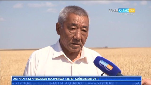 Алматы облысының диқандары жүгері алқаптарын кеңейтуді көздеп отыр