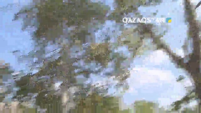 «Мәселе». Қазақстанда бүгінде 64 апатты білім ошағы бар (ВИДЕО)