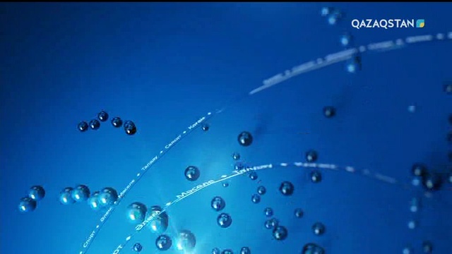 Көші-қон саясаты туралы жаңа тұрыжымдамадан не күтеміз?