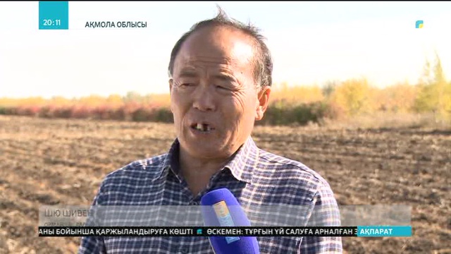 Қытайлық орманшылар Астана іргесіндегі жасыл белдеуге жаңа ағаш түрлерін әкеледі