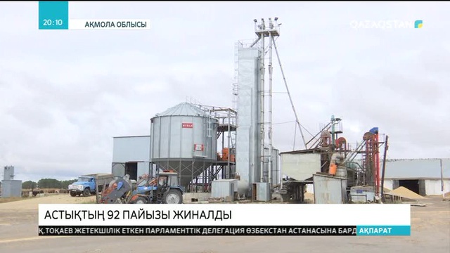 Ақмола облысында алқаптағы астықтың 92 пайызы орылды