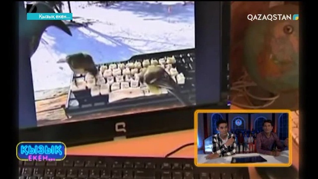 27.09.2017. Қызық екен (Толық нұсқа)