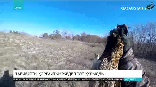 Елімізде табиғатқа қатысты заңбұзушылықтардың алдын алуға және анықтауға бағытталған жедел топ құрылды