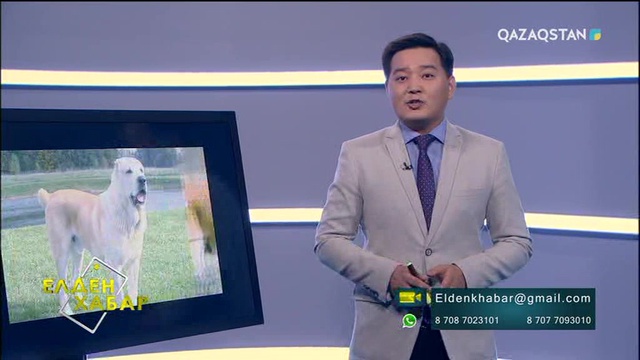 Елден Хабар - 07.09.2017 (Толық нұсқа)