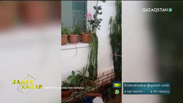 Елден Хабар - 30.08.2017 (Толық нұсқа)