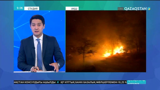 АҚШ-та алапат өрттен 10 адам қаза тапты