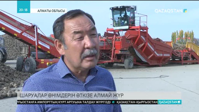 Алматы облысында шаруалар қант қызылшасын өткізе алмай дал