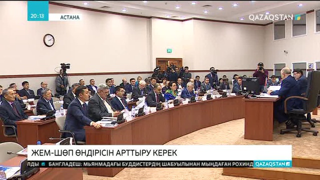 Қазақстандағы ірі қара мал басы тиісті деңгейде жемделмей жүр