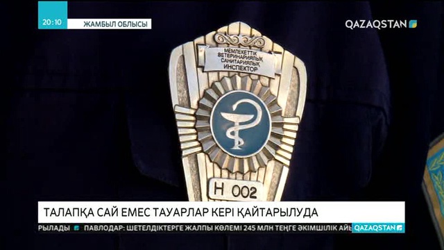 Қазақ-қырғыз шекарасында күн сайын 30-ға жуық заңбұзушылық жағдай тіркелуде