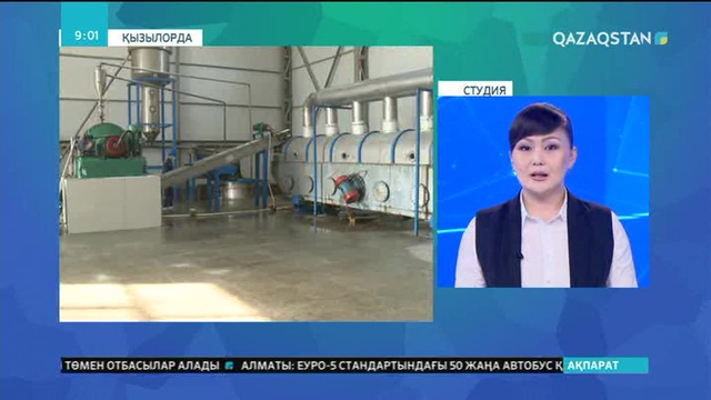 Қызылордада «Ассоль» брендімен тұз шығарыла бастады