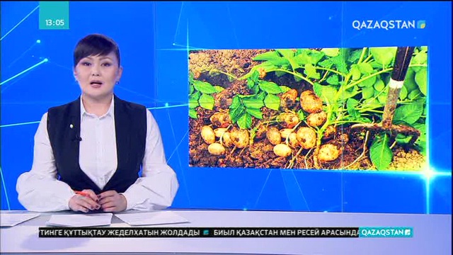 Картоп бағасы заңсыз көтерілген болуы мүмкін