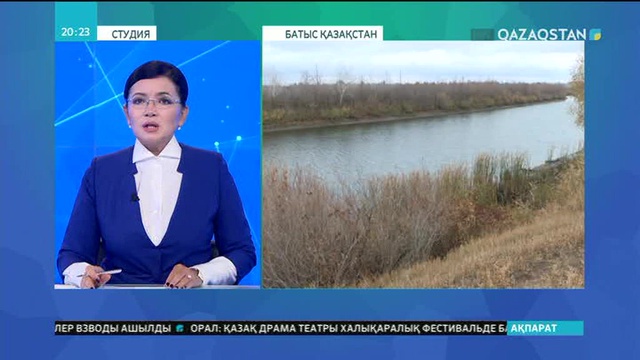 Оқушы сыныптасын абайсызда атып өлтірді