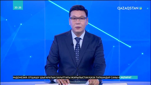 Қаңғыбас иттер мен мысықтар көбейіп барады