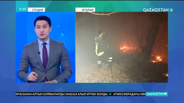 Италияның солтүстігінде бірнеше күнге созылған орман өрті сөндірілді