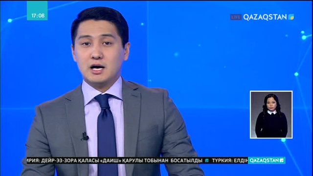 Алматы облысында қойды қолдан ұрықтандыру науқаны басталды