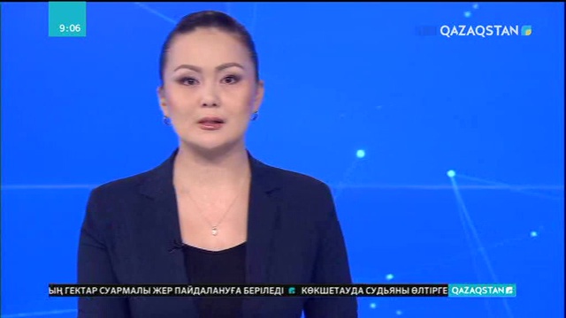 Павлодарда студенттер іздеушісі жоқ жандарға қолұшын созуда