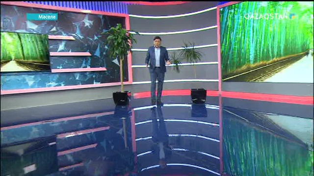 Ағаш пен аң жоғалса жердегі тіршілік тоқтайды