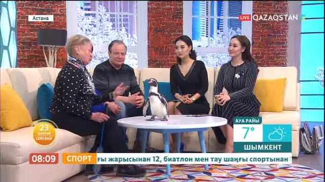 Таңшолпан - 23.01.2018 (Толық нұсқа)
