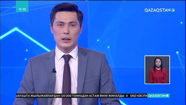 Австралияда дельфиндер өнер көрсетті