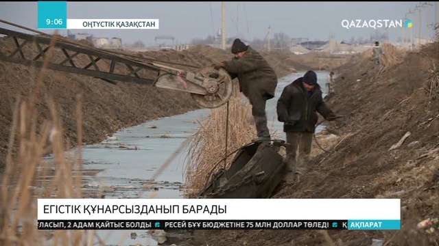 Мақтаарал ауданында егістік құнарсызданып барады