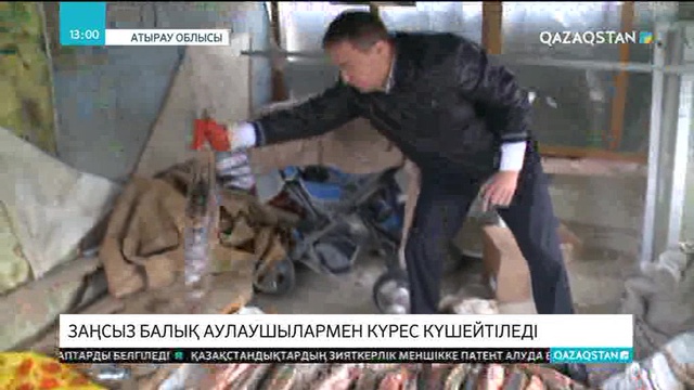 Заңсыз балық аулаушылармен күрес күшейтіледі
