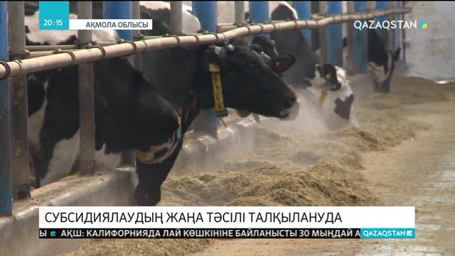 Ауыл шаруашылығы саласындағы субсидиялау жолдары өзгертіледі