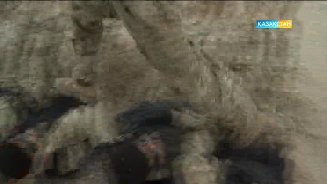 «Ақсауыттың» келесі саны қайсар мінезді қара береттілер жайлы болмақ