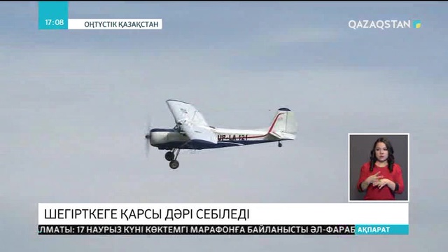 ОҚО-да егістіктерге шегірткеге қарсы дәрі себіледі