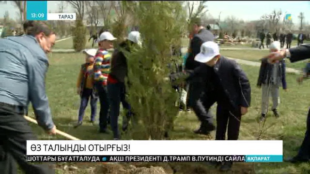 Көне тараздың көшелері жасыл желекпен көркейді