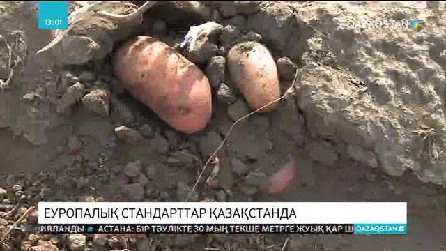 Қазақстандық ауыл шаруашылық өнімдері Еуропада сатылу үшін арнайы талаптарға сай болуы тиіс