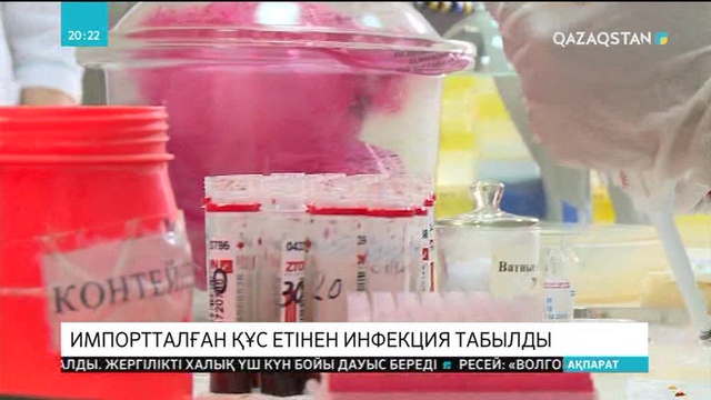Импортталған құс етінен инфекция табылды