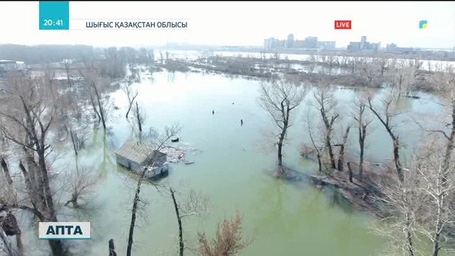 Су басқан Семейге бүгін 19 арнайы техника көмекке барды